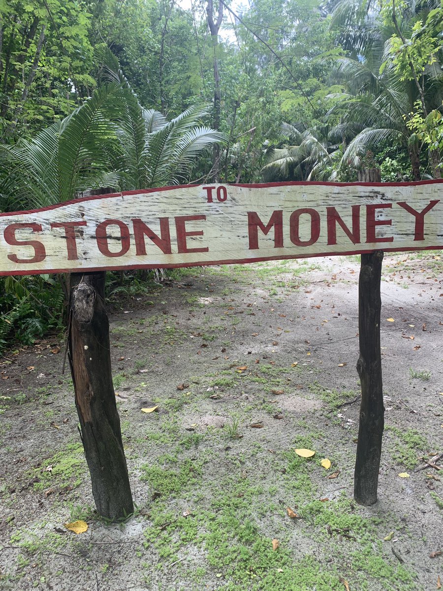 JessicaCLee_TW's tweet photo. I came this private island for #StoneMoney but find #LandCrab hunting, small conch finding & fruit bat whooping are even more fascinated. Never underestimate the beauty of #Palau. https://t.co/XucvIO4xoj