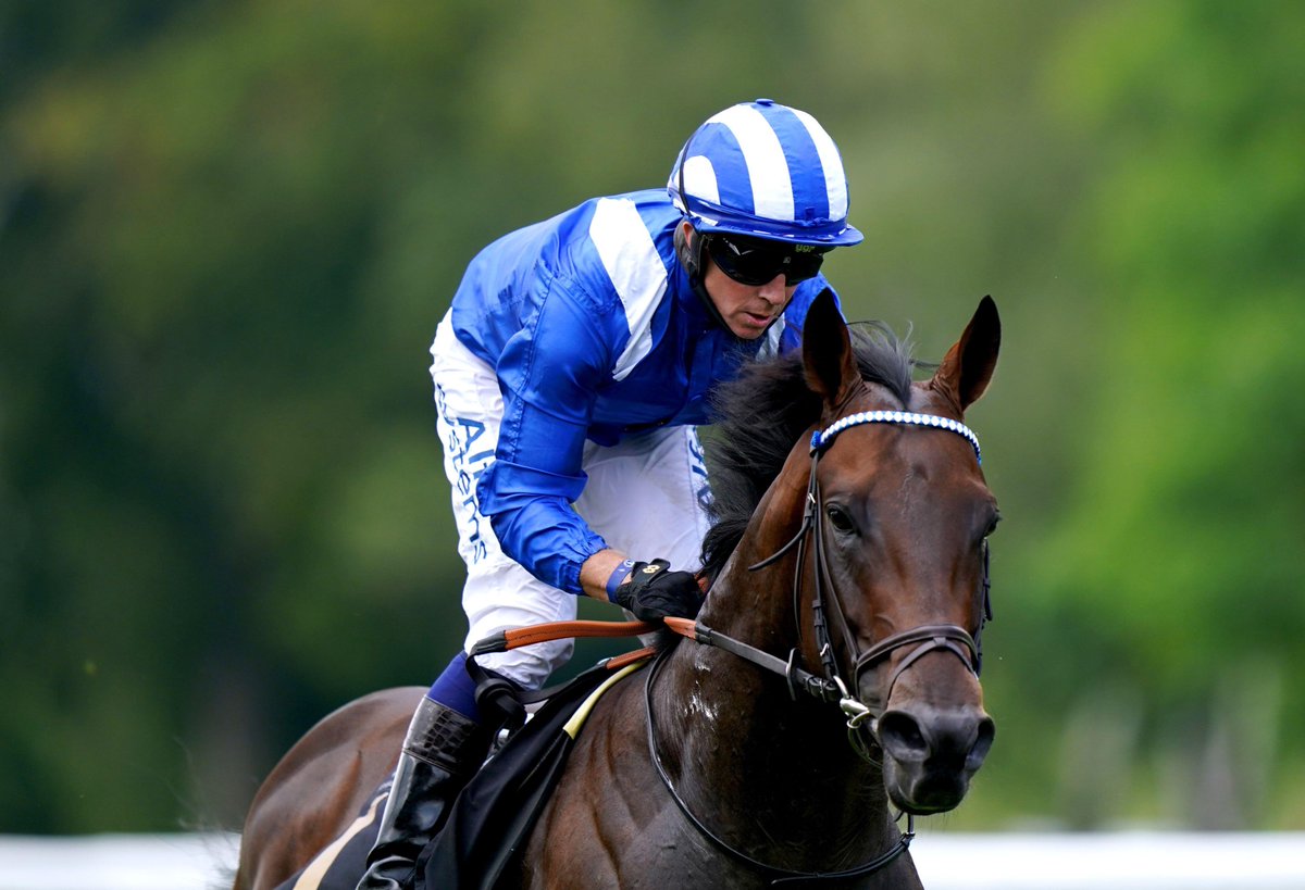 TWEnclosure's tweet photo. 💰 £50 CASH GIVEAWAY! 💰

🏇🏼 If BAAEED wins the Lockinge this afternoon we'll give £50 CASH to one follower! 

To enter: 

- RT THIS TWEET
- FOLLOW @TWEnclosure 

Good Luck Everyone! 🤞🏻 https://t.co/e8HYjAenHs