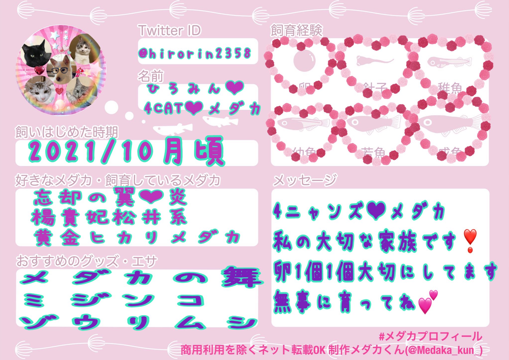 ひろみん 4cat メダカ Hirorinrin2358 Twitter