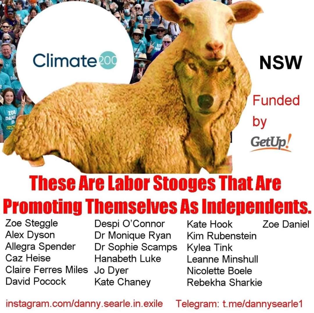 steven_aus's tweet photo. @Mon4Kooyong #Fakeindependent https://t.co/B1UluRNNJ6