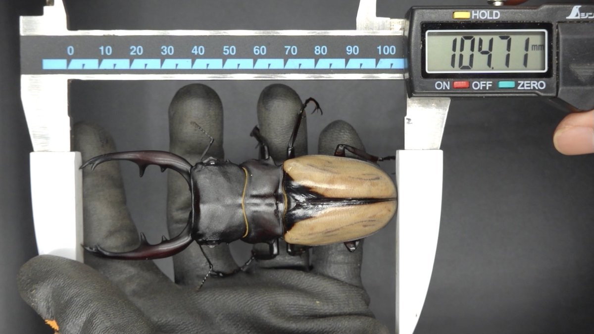 皮特玩自然 tweet media