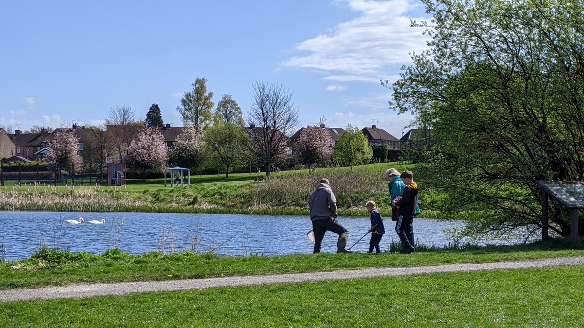 froglifers's tweet photo. Did you see the #ComeForthforWildlife team at #TheDelph in #Tullibody recently? The team had a lovely day doing a #PondDoctor session in the sunshine! ☀️ During #ponddipping, they found lots of #insects, with everyone’s favourite being the #GreaterWaterBoatman! @ClacksCouncil https://t.co/CSUS8BYSLM