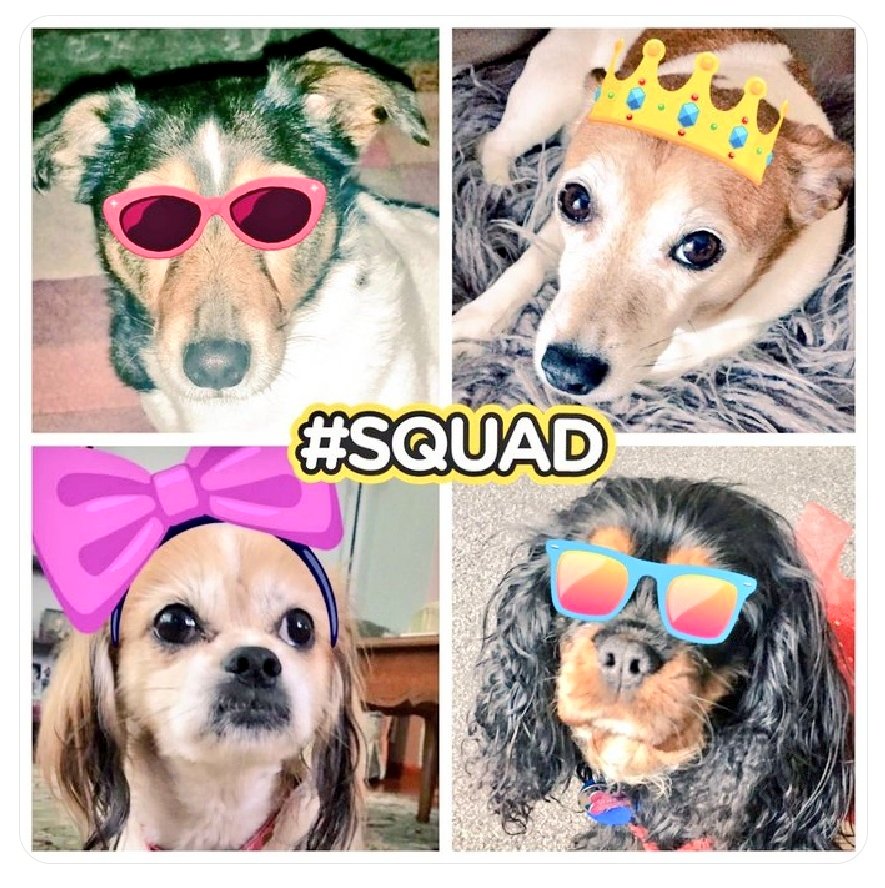OllieFangClub's tweet photo. @PickliciousF "My Auntie Medi used to be in a rock band called #BitchesBrew They had a HUGE Christmas hit with #DingoBells " Love Gizzy 💘 https://t.co/NNnpc6Mdl2