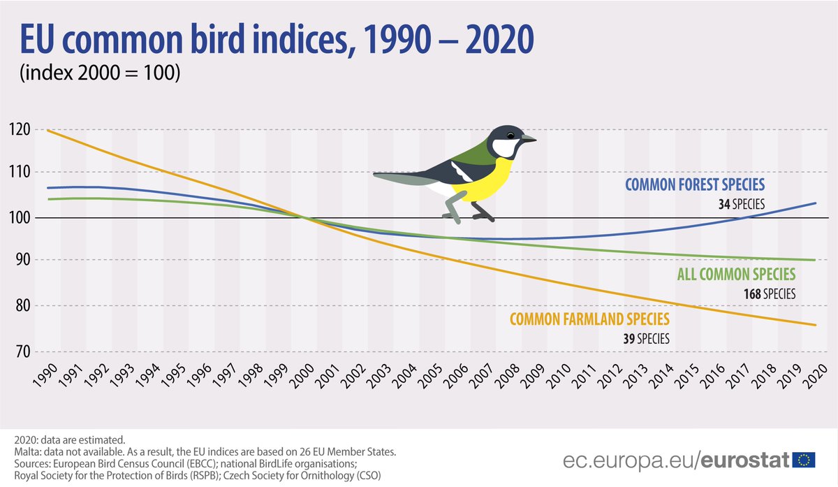 EU_Eurostat's tweet photo. 🐦🦉 Since 2000, the number of common #birds is estimated to have declined by 10%. However, it has started to stabilise in recent years. 
↗️ common forest birds: +3% since 2000
↙️ common farmland birds: -24%
👉 https://t.co/CZL80lAnXp https://t.co/dH67aoltiZ