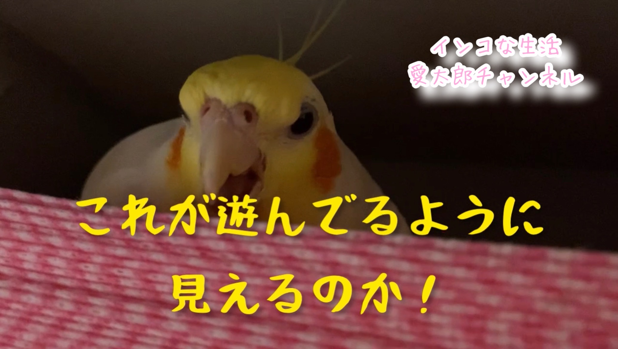 愛太郎 Keiring55 Twitter