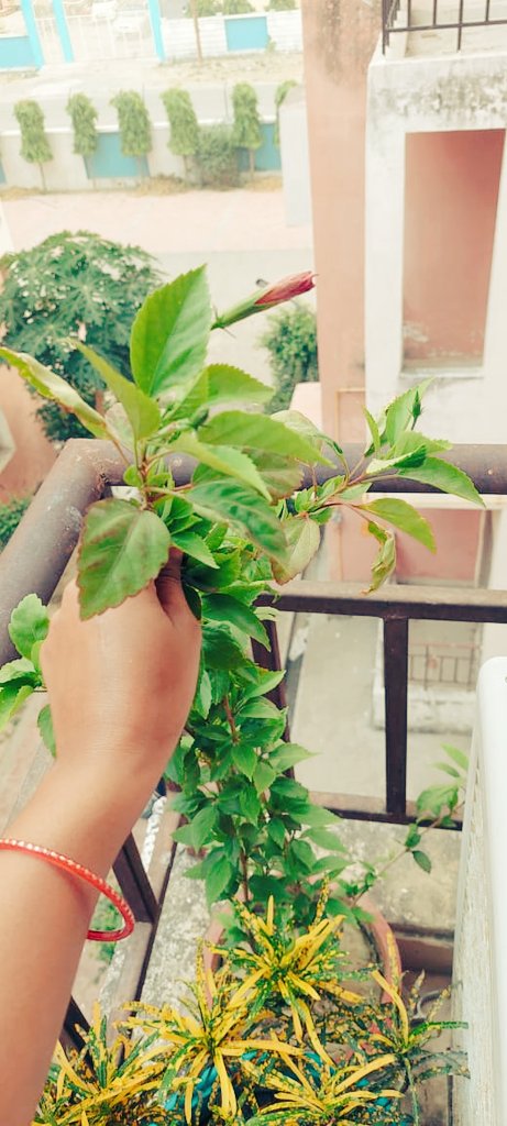 vksaroj29's tweet photo. Happiness of Hardwork 💐 https://t.co/fyyRDTrVXD