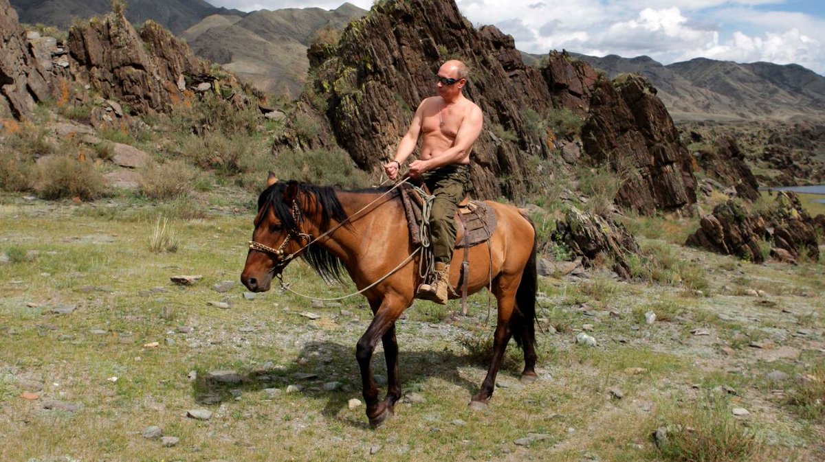 Es geht nicht mehr als Cowboy? Macht nix - Hör auf, schmeiss den alten Job hin!

Jobs, die passen gibt es bei jobmine.app , das schnelle und komfortable Jobportal!
jobmine.app
#jobmine #jobmine #jobs #jobsuche #putin #ukraine #UkraineWar #Russian