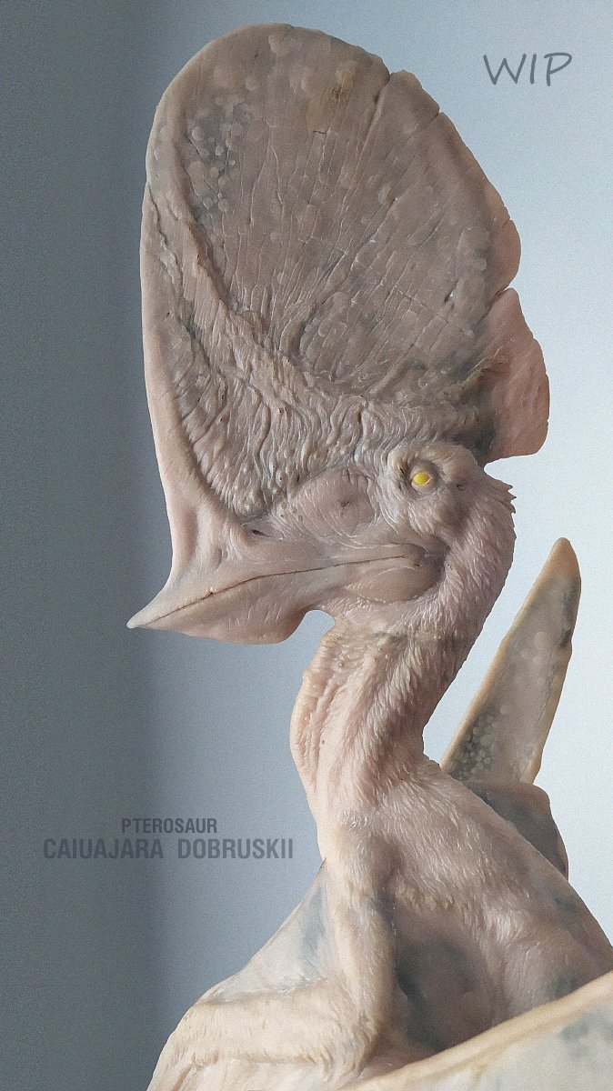 SergeyAvtushen1's tweet image. WIP_pterosaur_Caiuajara dobruskii