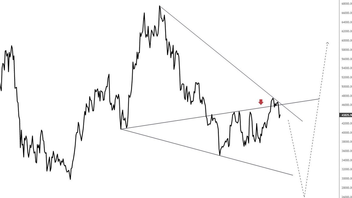 أبو ريما tweet media