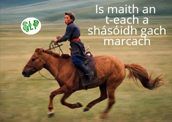 GaeilgeP's tweet photo. Is maith an t-each a shásóidh gach marcach #each #capall #marcach #sásamh #dodhéanta #seanfhocal #gaeilge #gaeilgelepád #glp https://t.co/VYAi4LXxrv