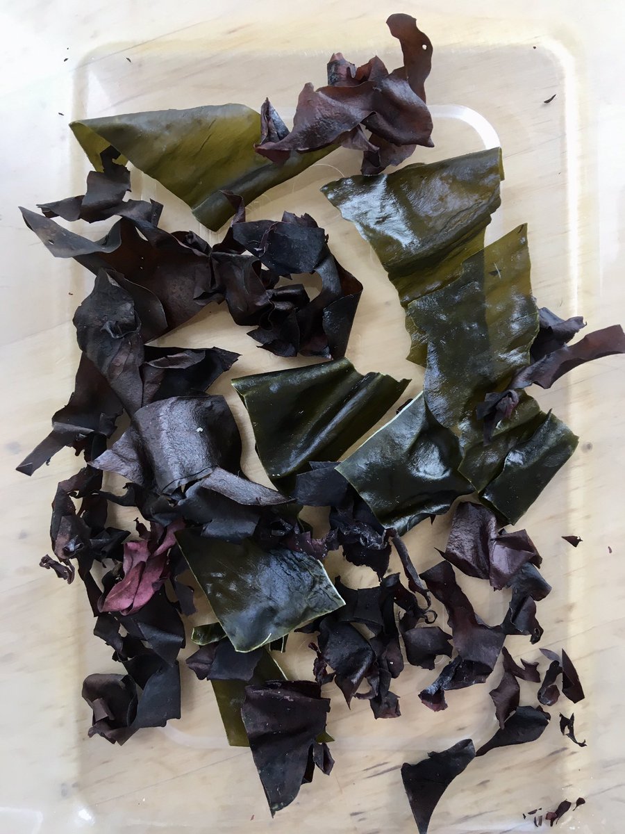 Wild Kitchen tweet media