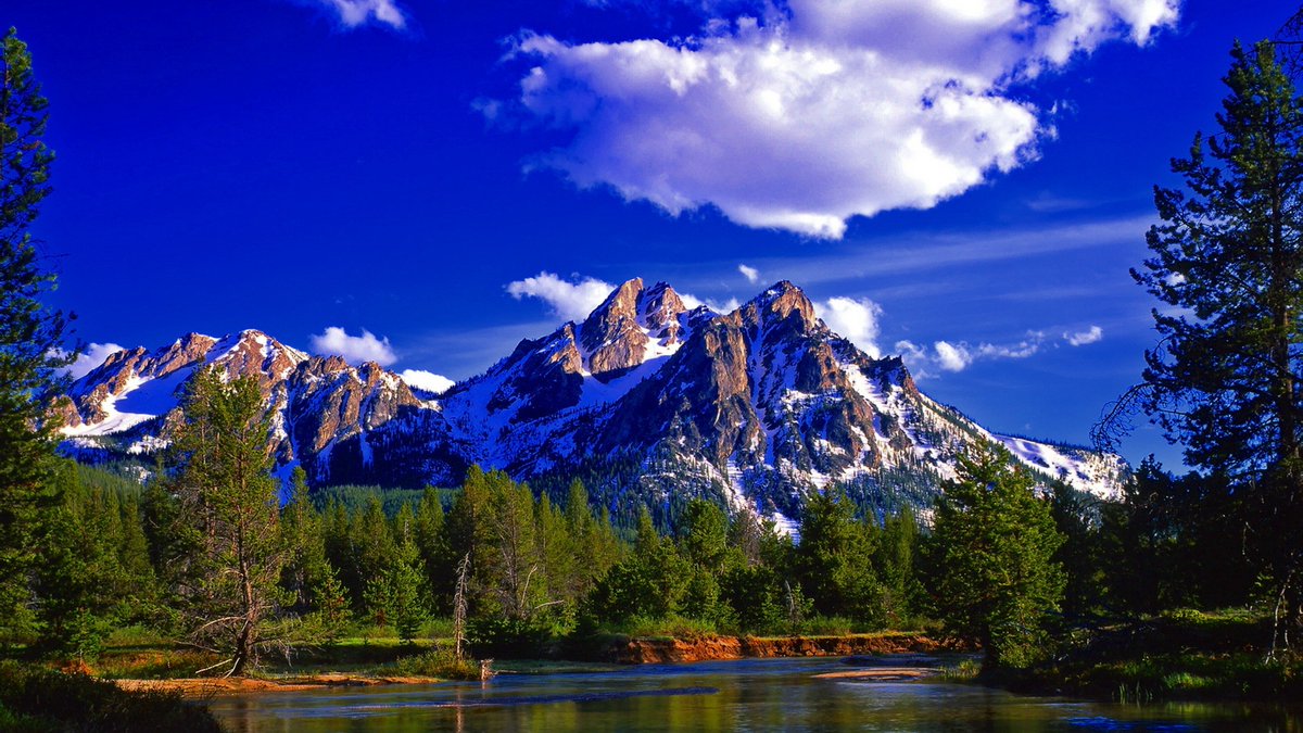 rtestr1's tweet photo. Here's my text https://t.co/ek5As9kXFi