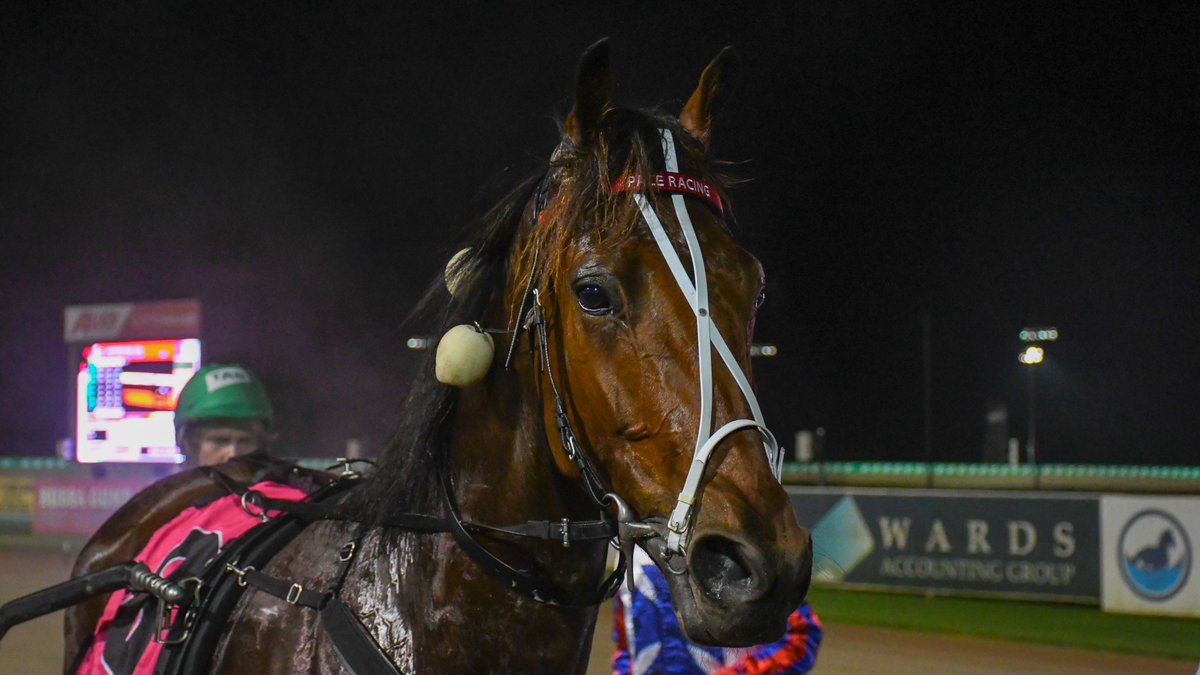 ClubMenangle's tweet image. Harry Stamper NZ takes out the Group One @SchweppesAus NSW Trotters Derby for the Victorian combination of Joe Pace and @jimmmyherb. 

Congratulations to all connections.👏

@HRNSW_Harness @TheTrotsComAu