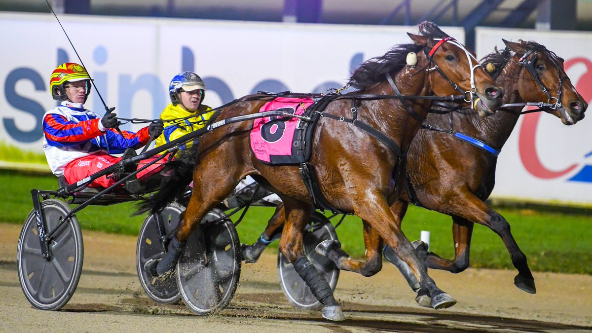 ClubMenangle's tweet image. Harry Stamper NZ takes out the Group One @SchweppesAus NSW Trotters Derby for the Victorian combination of Joe Pace and @jimmmyherb. 

Congratulations to all connections.👏

@HRNSW_Harness @TheTrotsComAu