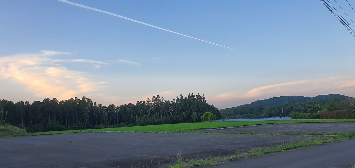 971226h's tweet photo. 飛行機雲見ると来週も天気悪くなるのかなーと心配になりますねー。
一番茶も来週から後半戦。
頼むから被せ剥がすときは晴れていておくれ。 https://t.co/viwElAriHn