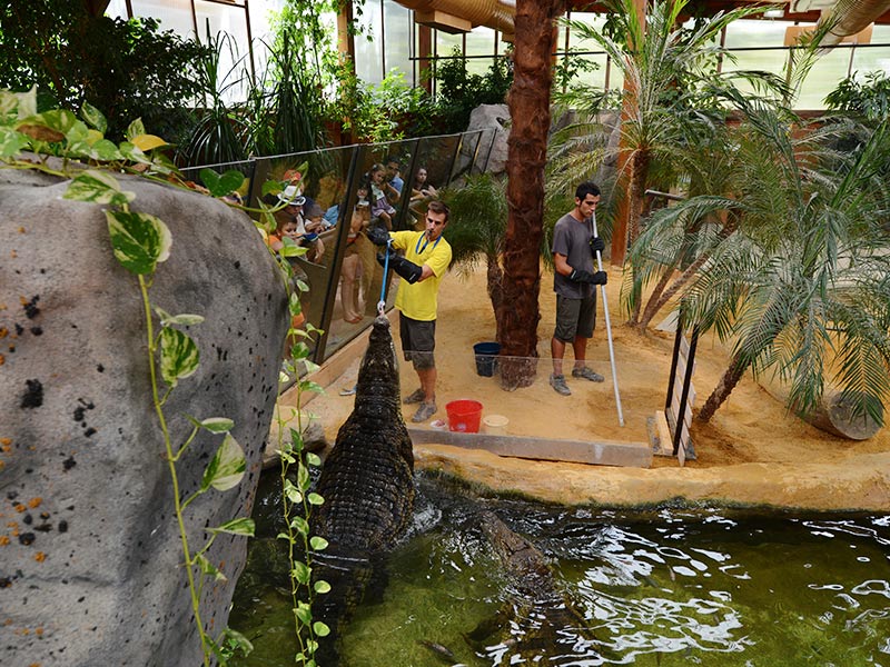 MiradasViajeras's tweet photo. 📻 #MVRadioT7x31 #Curiosoteca
Entre las #Experiencias @parquefaunia se encuentran:
#Polar
#Manaties
#ososMarinos
#EscuelaDeReptiles
#Saimiri
👇 #Puedes ver todas las #interacciones aquí
https://t.co/pQCMgMsRRK https://t.co/2Rec7g9WNB