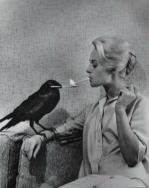 RJCrowtherJr's tweet photo. Tippi Hedren publicity photos for Alfred Hitchcock's The Birds (1963). 🖤 https://t.co/RT0ZmW4p0x