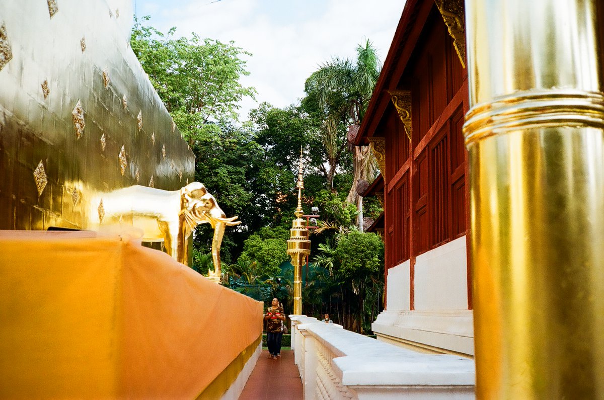 onemomentnft's tweet image. GM! A new piece on Tezos from Thailand in 2019
'Golden Elephant'
10 Ed / 1 $xtz

objkt.com/asset/KT1CukEt…

 #35mm #NFTs #NFTphotography #NFTcommunity #cleanNFT @objktcom