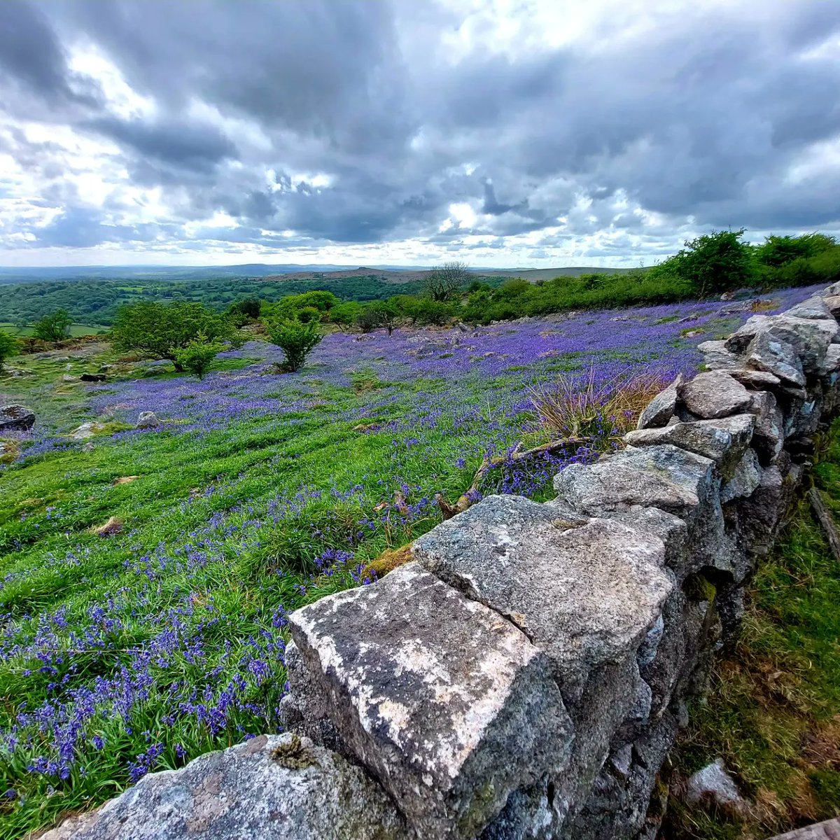 johnmuttitt's tweet photo. Dartmoor,in full splendour. Nice to get away from all the bullshit in the world. https://t.co/TnvitWSVc9