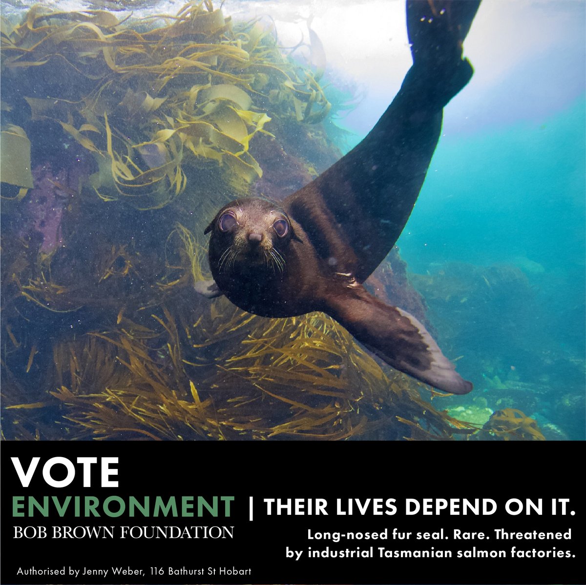BobBrownFndn's tweet photo. A plea from Earth's defenders.
This election, put wildlife and planet Earth first, before it is too late.

Vote Environment Rally.
17 May 2022 - 6pm - 7pm

https://t.co/TyRTXsPVvO

#politas #auspol #ausvotes2022 #ausvotes #voteoceans #voteenvironment https://t.co/shG7gnyzhT