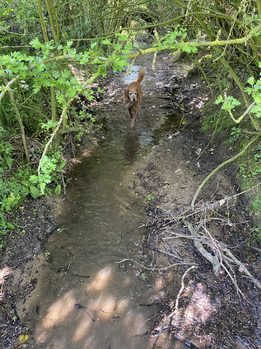 Beautiful morning! Happy weekend pals - and a week of for M! Whoop 🎉