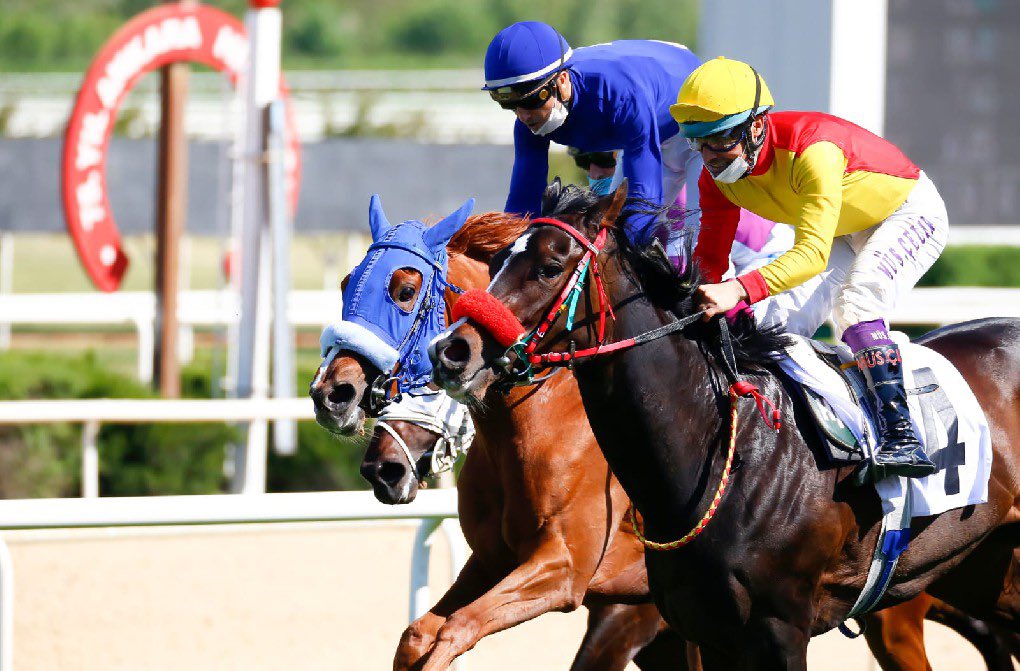 frkkymkc's tweet image. Today we continue #9May #EuropeDay celebrations w/:
⭐12th @ABBaskanligi Cup Race🏇,
⭐16th Europa-Orient/East-West Friendship&amp;amp;Peace Rally Ankara Start Ceremony 🏎️. 🇹🇷🇪🇺
📌75. Yıl Racecourse
⏰15.30
#EUCS @EUDelegationTur @_TJK_
@tjktv 👇