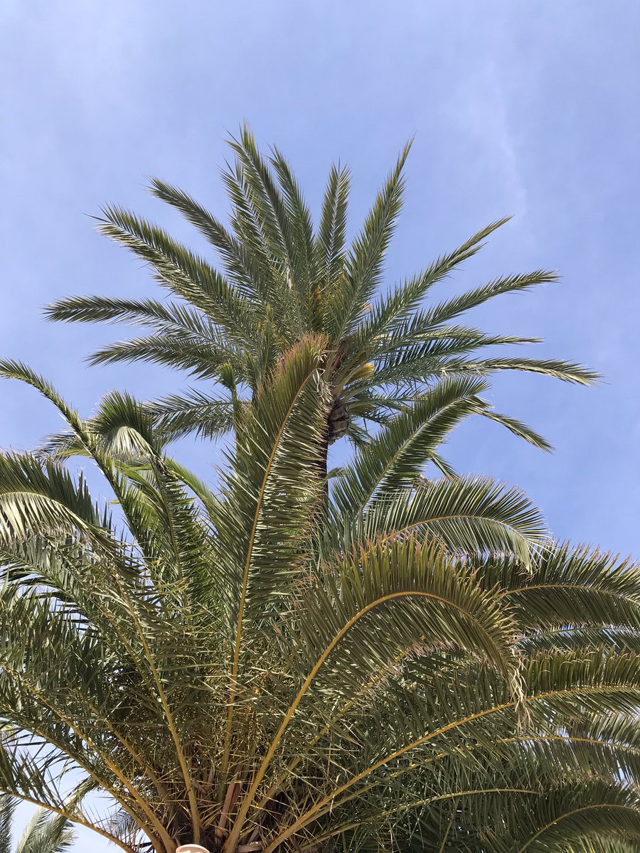 En bättre Lördag😎