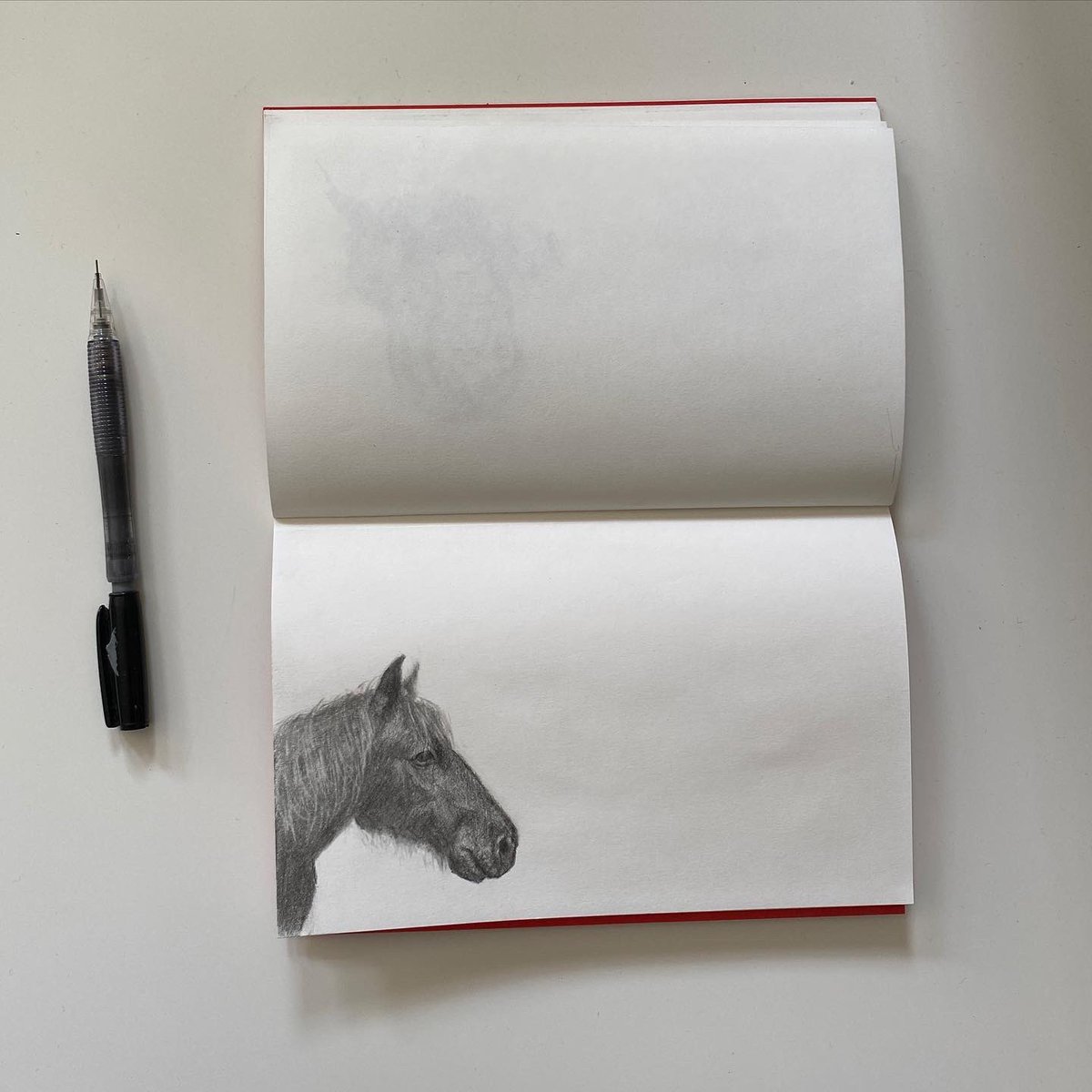 LouiseMarksArt's tweet photo. Today’s #coffeetinesketch of this beauty spotted a few weeks ago in Durham. Swipe for a 4 photo progress montage. Pencil in @SilvineOriginal #horse #equine #durham #pencil #silvine https://t.co/YdEtngNXpJ
