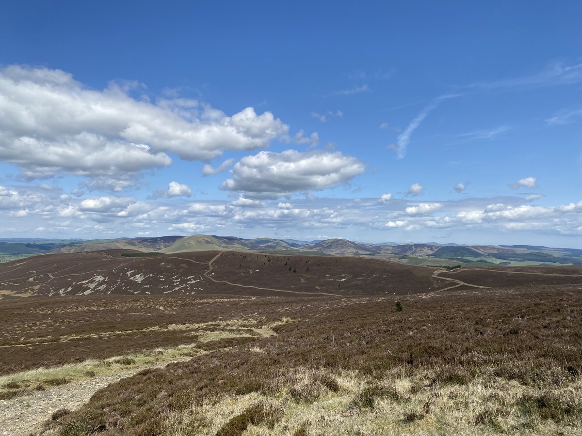 RewildScotland's tweet photo. Our uplands should be a nature rich mosaic of habitats not a man made monoculture. Where are the native trees? #Rewilding https://t.co/wakBJ89JZY