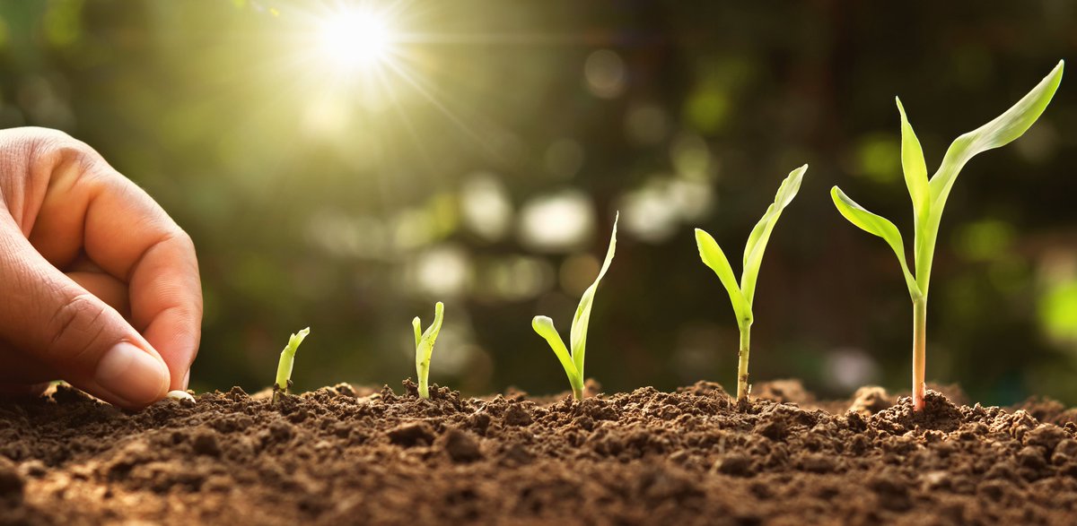 AnoveObtentores's tweet photo. 🎙@MKeller_Seed: “desde @SeedFed consideramos este Congreso como un paso decisivo para alinear aún más el sector de las semillas a los sistemas alimentarios y contribuir a alcanzar los #ODS que la ONU ha propuesto a toda la humanidad como retos decisivos” https://t.co/Lu8Prq7PDb