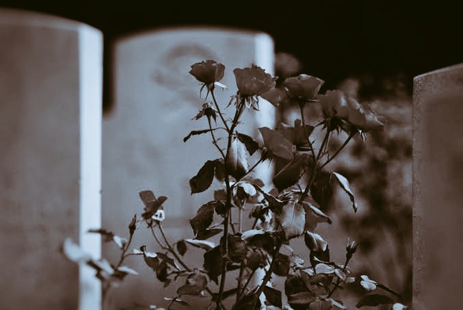 نه پنج روزهٔ عمرست عشق روی تو ما را
وجدت رائحة الود إن شممت رفاتي

Ne penc ruze-yi omrest aşk-ı ruy-ı to ma ra
Vecedte raihatel vüddi in şememte rufati

Bizim sana olan aşkımız ömürden üç-beş gün değil
Mezarımdaki çürümüş kemiklerimi koklasan aşkımın kokusunu bulursun

|Sadi