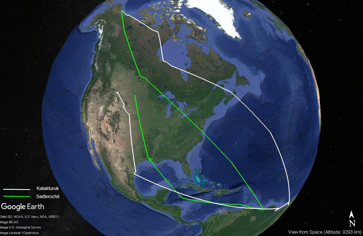 It is #WorldMigratoryBirdDay, so time for an update on two of the #Whimbrel we tagged in #Alaska last summer! After epic flights over the Atlantic last fall, "Katakturuk" and "Sadlerochit" spent the winter in Brazil and Suriname. Both are now migrating North up the mid-continent.
