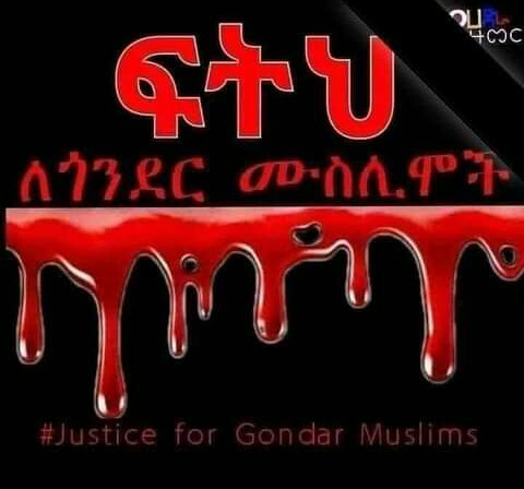 shukuer hamide tweet media