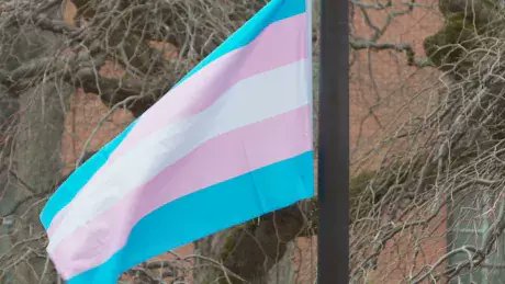 CBC Nova Scotia tweet media