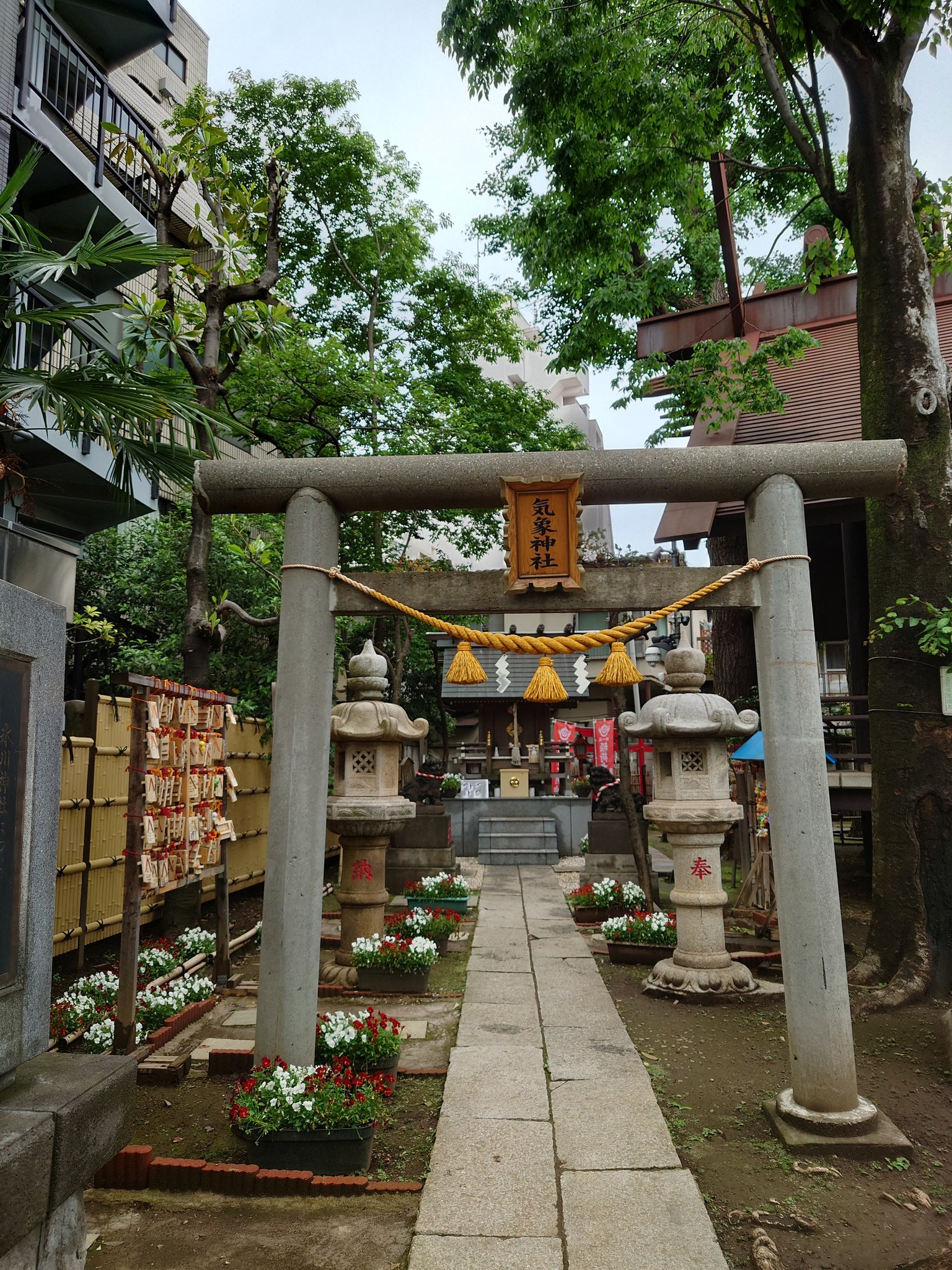 Momoca Sae 西荻窪に出たので 高円寺に寄りました 氷川神社と気象神社へ 今日出会えた方たちへの感謝と 来週末の第２王子沖縄修学旅行の天気のお願い 素敵な御手水に 大好きな御朱印 端午の節句のコースター 嬉しい 高円寺氷川神社 気象神社