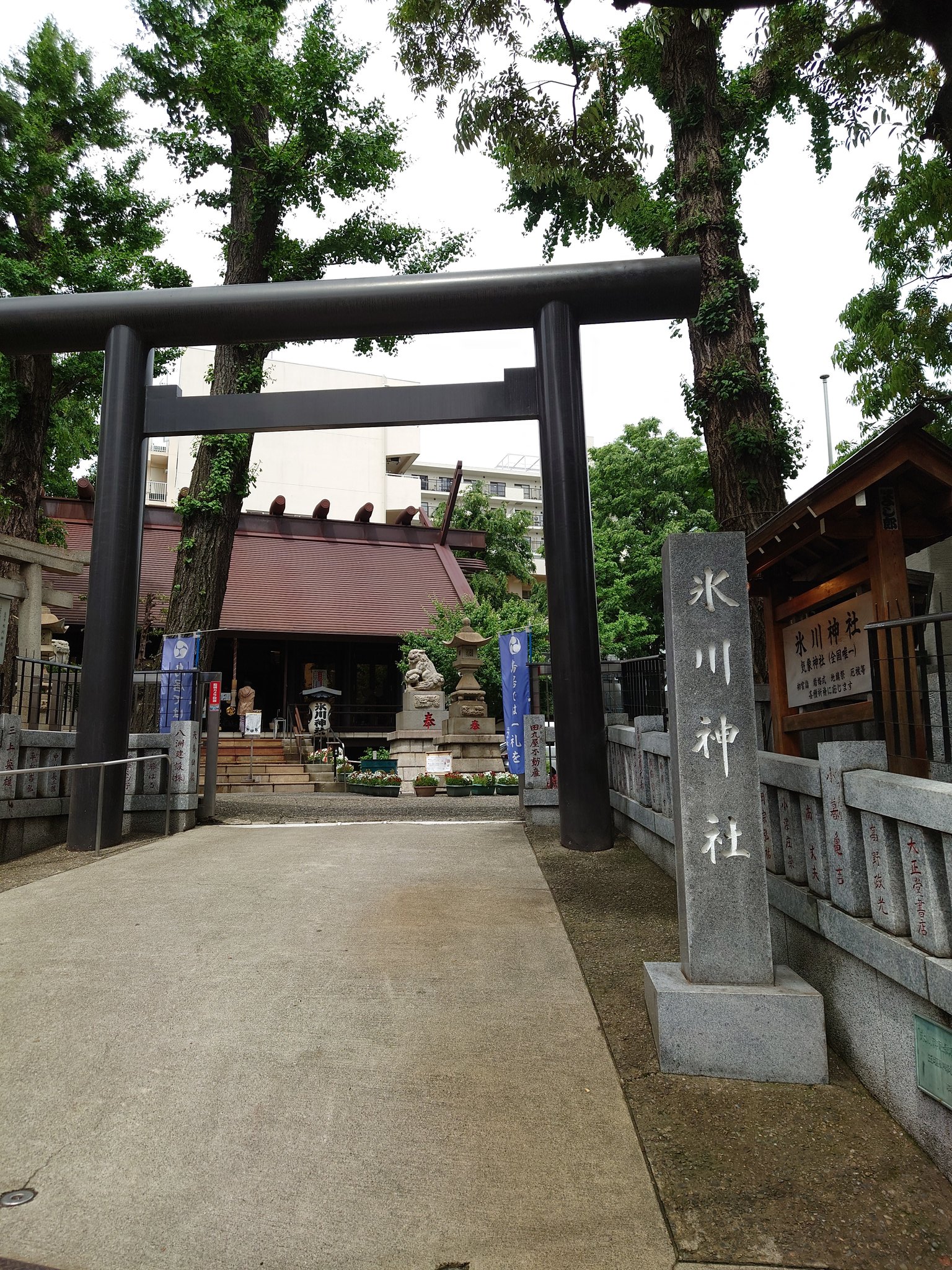Momoca Sae 西荻窪に出たので 高円寺に寄りました 氷川神社と気象神社へ 今日出会えた方たちへの感謝と 来週末の第２王子沖縄修学旅行の天気のお願い 素敵な御手水に 大好きな御朱印 端午の節句のコースター 嬉しい 高円寺氷川神社 気象神社