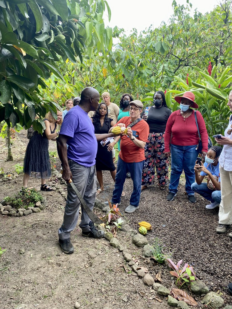GrenadaChocFest's tweet photo. Day 1 @GrenadaChocoFes   2022 Fabulous day exploring #Grenada #cocoaestates #orgsniccocoa #sustainablechocolate @crayfishbay @JouvayChocolate #treetobar #Grenadachocolate #caribbeanevents @MagsFielden @puregrenada https://t.co/NuXqczV8Bv
