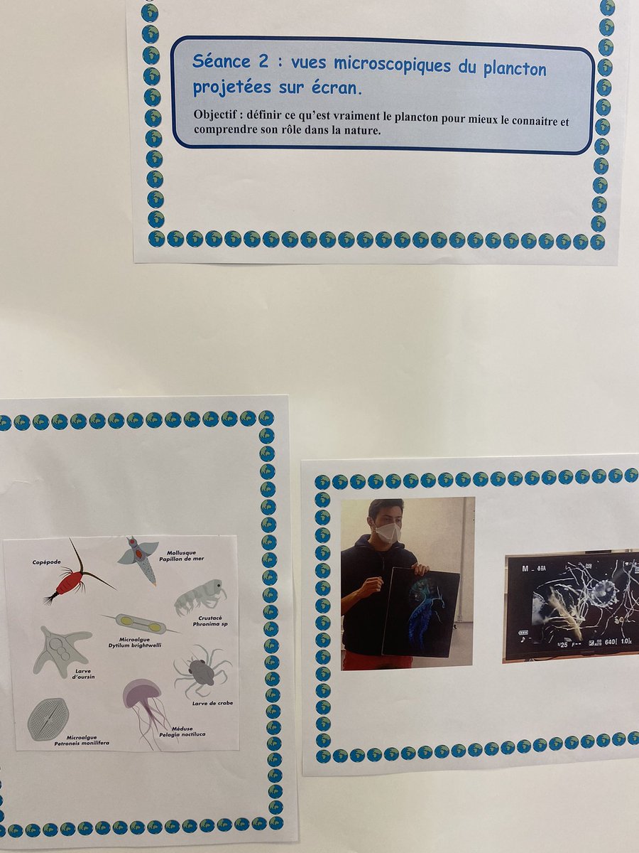 stephan_gouraud's tweet photo. Exposition des écoles du réseau de Port-Louis. 
Des créations sur le thème de la lumière et de la transparence. #transarts https://t.co/5wA3xLZ75u