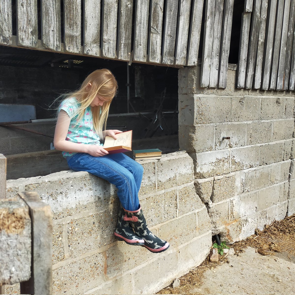 oakespedigrees's tweet photo. #farmlife reading @CharlesDickens A Tale of Two Cities in the sunshine 
Not something you see in these modern times now- a book! 
#ourlife #bookworm #daughter #SaturdayMorning #SaturdayVibes #farming https://t.co/o4I0TAHiBa