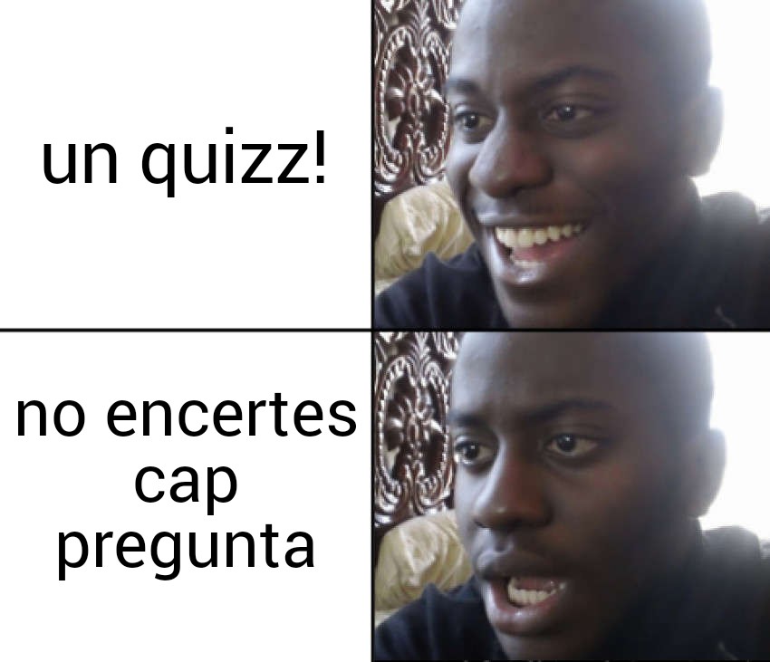 Recordeu el programa 10?
Les seccionistes van parlar d'arquitectura i vam fer un quizz de ciència 😋