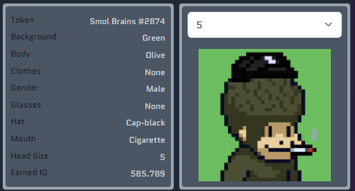 Alpha 🇦🇺 tweet media