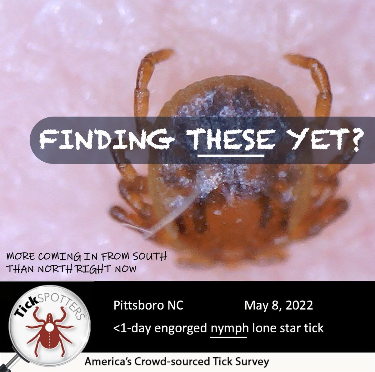 thetickguy's tweet photo. Are ticks nature’s little thermometers? April 2022 was cooler and wetter than normal. And #TickSpotters found lone star ticks scarcer this past April than normal. Between 15-43% fewer lone star ticks were submitted than the 3 previous Aprils. Warming up now #BeReadyForTicks https://t.co/EvA6VTQ1jK