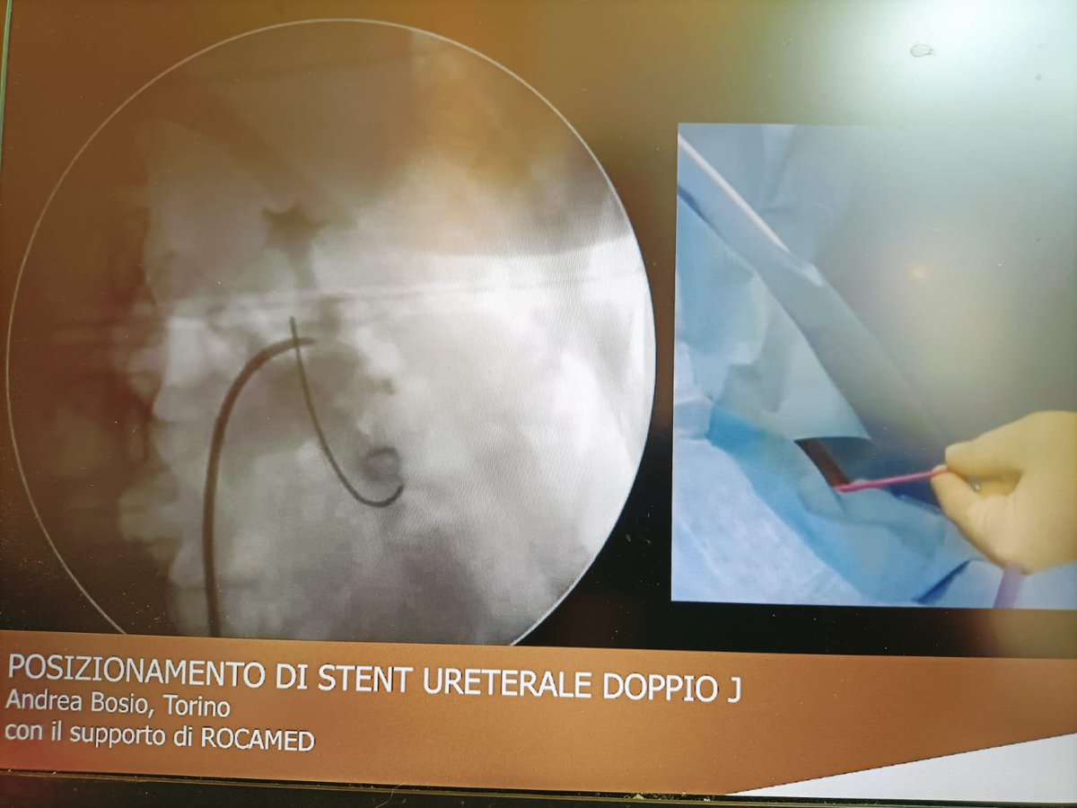 rocamed's tweet photo. #JFil #DrBosio #SIULive #Roma #Italia https://t.co/iCVFTH9HOD