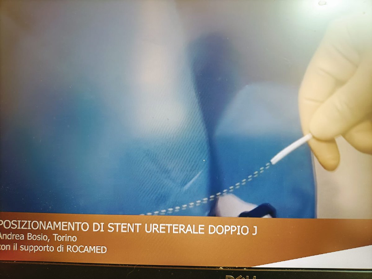 rocamed's tweet photo. #JFil #DrBosio #SIULive #Roma #Italia https://t.co/iCVFTH9HOD