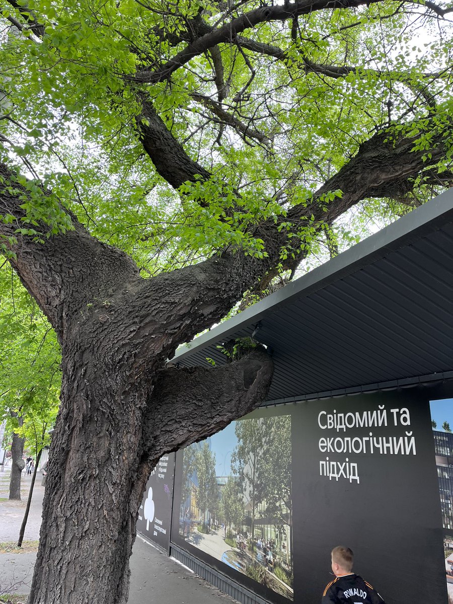 Easy (@easyflagged) on Twitter photo 