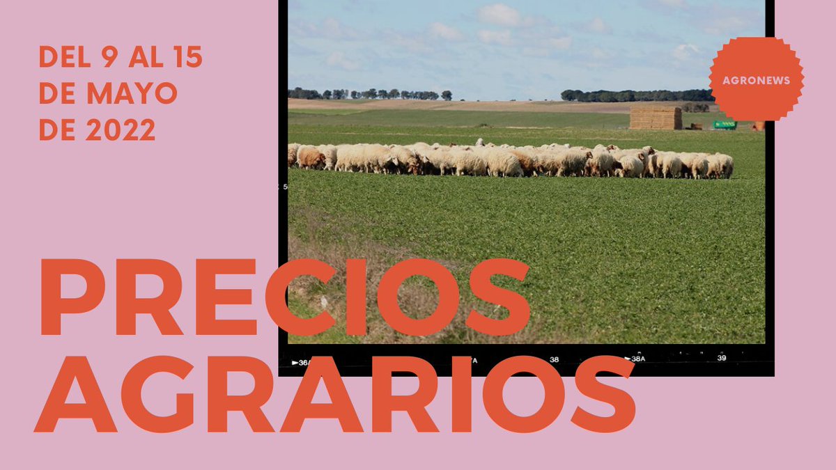 genergea's tweet photo. PRECIOS AGRARIOS DE LA SEMANA: suave avance de los cereales, mientras que el "vacuno" y el "porcino" sufren un claro parón en las subidas de las últimas semanas https://t.co/YSLumsFK6q @AgronewsCyL https://t.co/4rMtP12Bvr