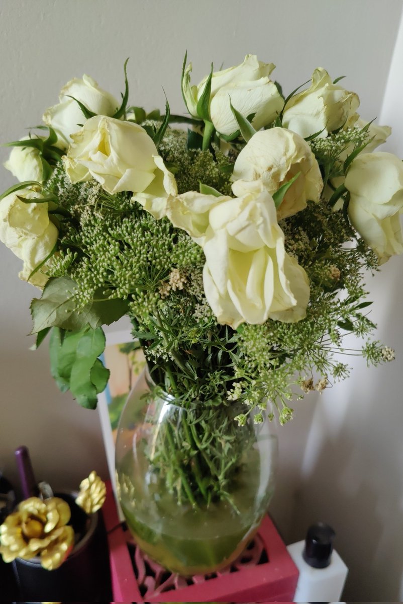 Karannn_24's tweet image. Ordered flowers from @Floweraura and look at the quality of flowers.
Flowers withered in a day. They are blaming me that I've kept them in open air and instead of improving their service they are giving useless clarification.
#flowes 
#floweraura
#poorquality 
@Floweraura