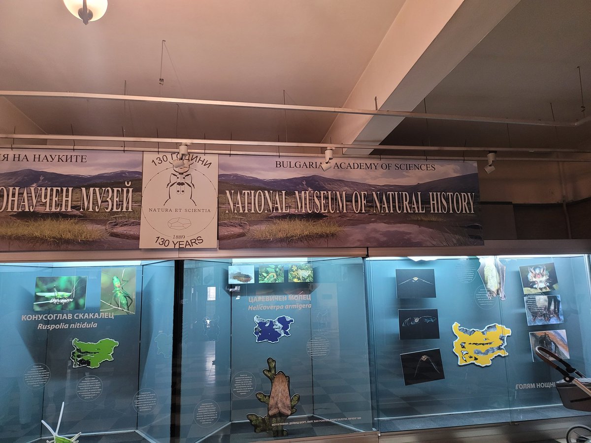 Sarah Sanda tweet media