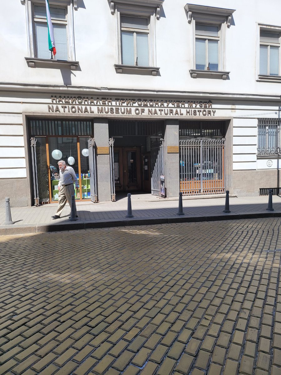 Sarah Sanda tweet media