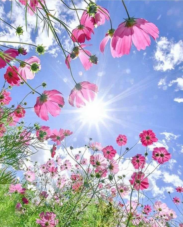 as__9o's tweet photo. @3p3p_ https://t.co/o32izzNbTZ